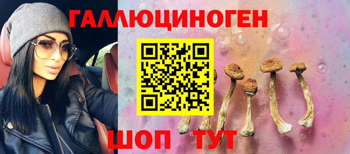 Галлюциногенные грибы прущие грибы  Псилоцибиновые грибы Cubensis  Симферополь  Вход с VPN 